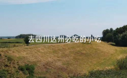 去四川达州必吃的小吃（达州十大特色美食排名）