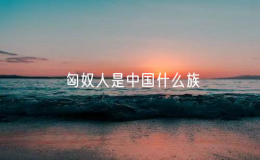 匈奴人是中国什么族（匈奴算不算中国人）