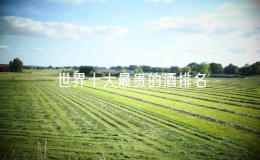 世界十大最贵的酒排名：什么酒贵又有档次