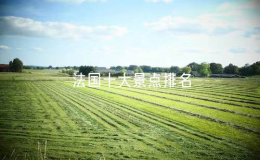 法国十大景点排名（法国有什么著名景点好玩的）