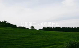 法国第二大城市是什么（法国里昂城市介绍）