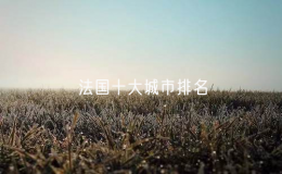 法国十大城市排名（法国哪个城市最安全）