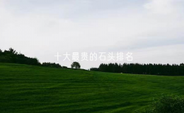 十大最贵的石头排名：啥石头最值钱