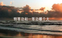特等功和一等功哪个大（特等功臣是啥级别）