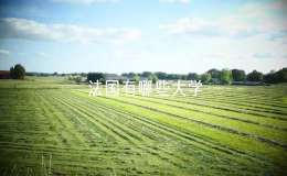 法国有哪些大学（法国大学排名前十名）