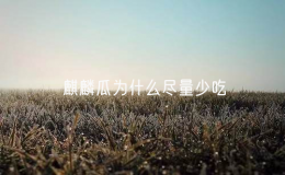 麒麟瓜为什么尽量少吃（麒麟瓜是转基因水果吗）
