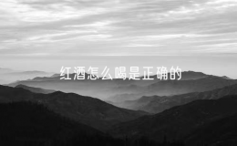 红酒怎么喝是正确的（红酒配什么饮料好喝）