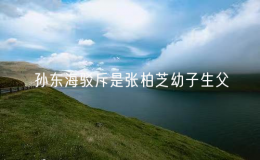 孙东海驳斥是张柏芝幼子生父 