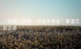 “妇联一线牵·你我来相会”联谊交友活动