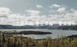 “大爱华南 建证幸福”集体婚礼