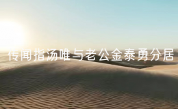 传闻指汤唯与老公金泰勇分居