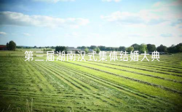 第三届湖南汉式集体结婚大典