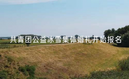 共青团公益冰雪集体婚礼开始报名