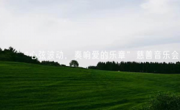 “心弦波动，奏响爱的乐章”慈善音乐会