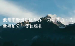 池州市暨贵池区举办“为爱减负·为幸福加分”集体婚礼