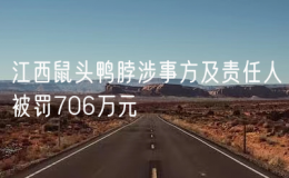 江西鼠头鸭脖涉事方及责任人被罚706万元