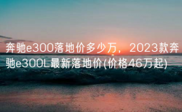奔驰e300落地价多少万，2023款奔驰e300L最新落地价(价格46万起)