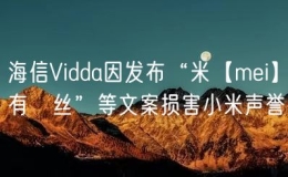 海信Vidda因发布“米【mei】有屌丝”等文案损害小米声誉