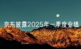 京东披露2025年一季度业绩