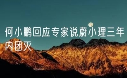 何小鹏回应专家说蔚小理三年内团灭