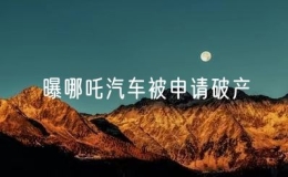 曝哪吒汽车被申请破产