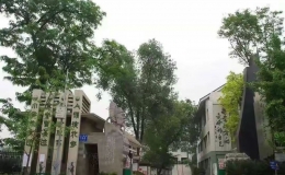 成都排名前十的小学 成都小学排名前十名