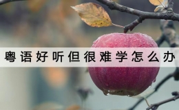 粤语歌怎么学的最快