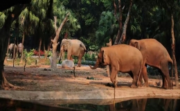 亚洲最大的动物园在哪里（亚洲十大动物园排名）