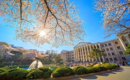 韩国大学排名2022(最新韩国大学排名)